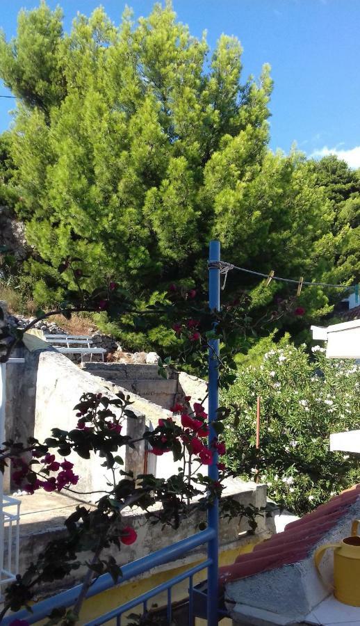 Studio With Magic View Podgora Exterior foto